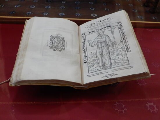 Die Bücher sind von unschätzbarem Wert