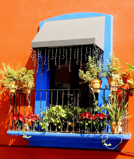 Und immer wieder bewundernswerte Kleinode