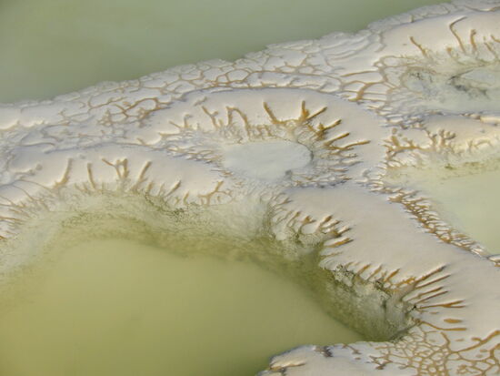 Zauberhaft all die verschiedenen Formen