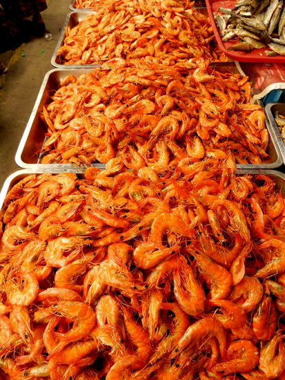 Calamares