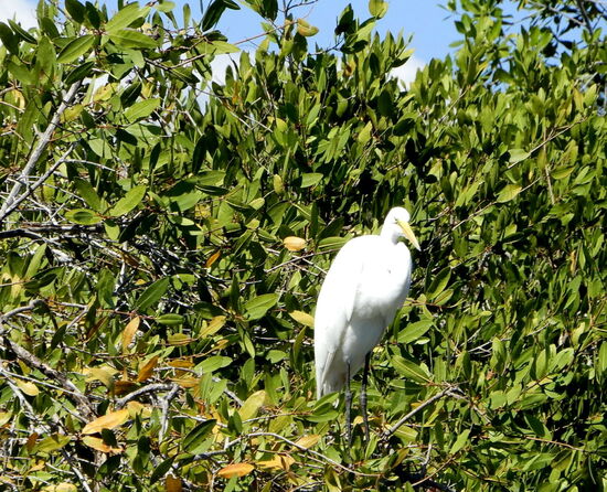 Ein stummer Zeuge - dass Leomobil schwimmen kann!