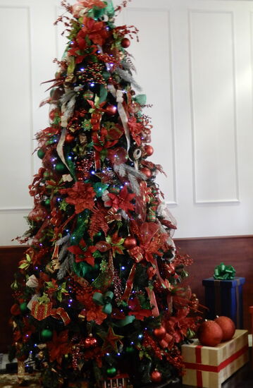 An der Plaza de Independencia befindet sich das Panamakanal-Museum - in der Vorhalle steht dieser hübsch geschmückte Weihnachtsbaum