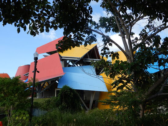 Wir lassen uns auf die Calzada de Amador zum "Museo de la Biodiversidad" chauffieren und geniessen auf der Terrasse einen wohlvedienten Cappuccino