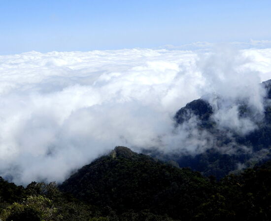 Über dem Nebelmeer auf der Passstrasse