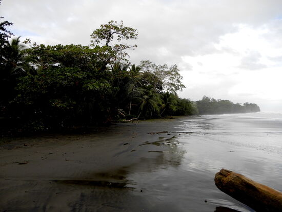 Es ist grau, trüb und alles nass!