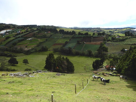 In tieferen Gefilden finden wir eine schöne, hügelige Landschaft vor