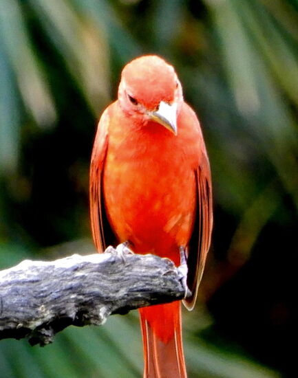 Eine solch entzückende Vielfalt an Farben haben wir bis anhin noch nie gesehen