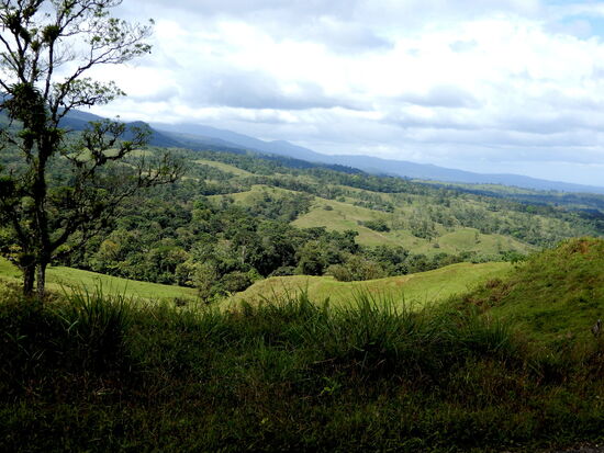 Es bieten sich immer wieder tolle Ausblicke in die vielfältige Landschaft