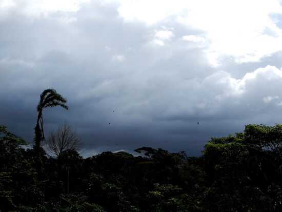 Die Regenwolken bleiben an der Cordillera Guanacaste hängen