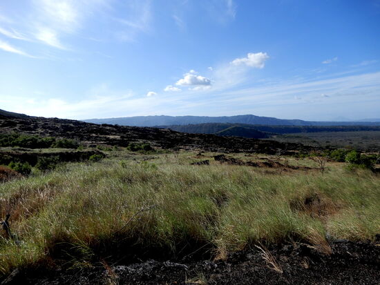 Am Fusse des Vulkans