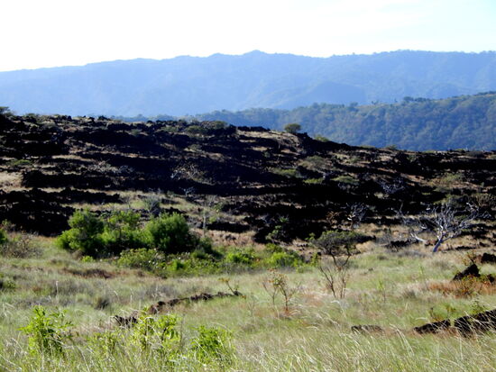 Der Vulkan spuckt immer wieder Asche und Gestein aus!