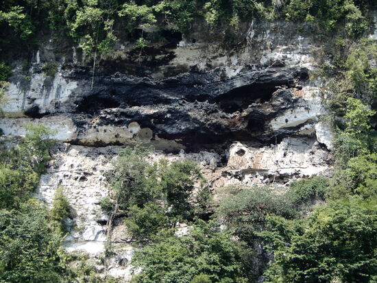 In den Felsen befinden sich die geschützten Bruthöhlen