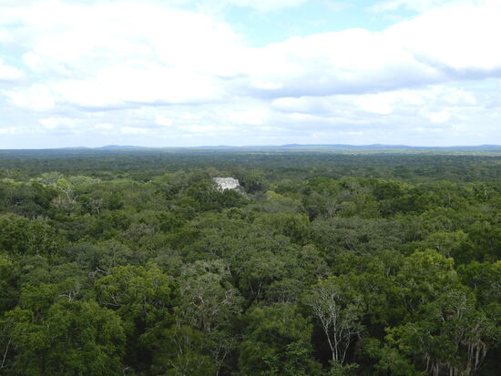 Das dichte Blätterwerk des Dschungels und hin und wieder lugen die weitverstreuten Ruinen aus dem dichten Grün