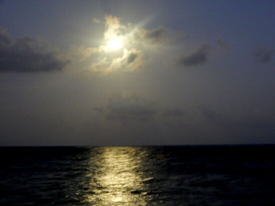 Eine tolle Vollmondnacht kündigt sich an!