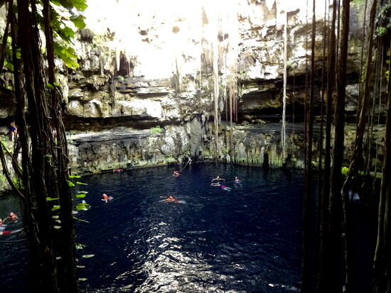 Es ist ein Riesengaudi für viele Leute, sich mittels einem Seil ins kühle Nasse katapultieren zu lassen! Wir nehmen es gemütlicher und schwimmen und die Schnorchelmaske gibt ganz tolle Einblicke in die tiefere Unterwasserwelt!