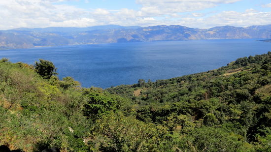 In San Pedro wird viel Kaffee angebaut