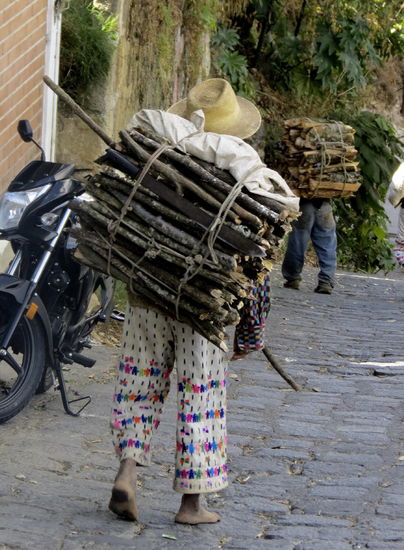 Eine schwere Arbeit - das Holz sammeln