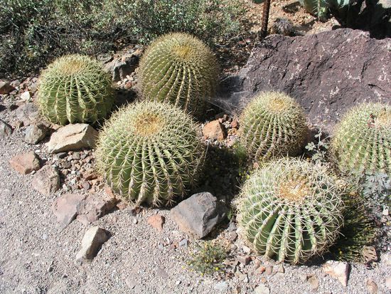 "Schwiegermuttersitze" ohne Ende