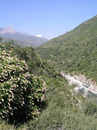 unendlich weite Täler