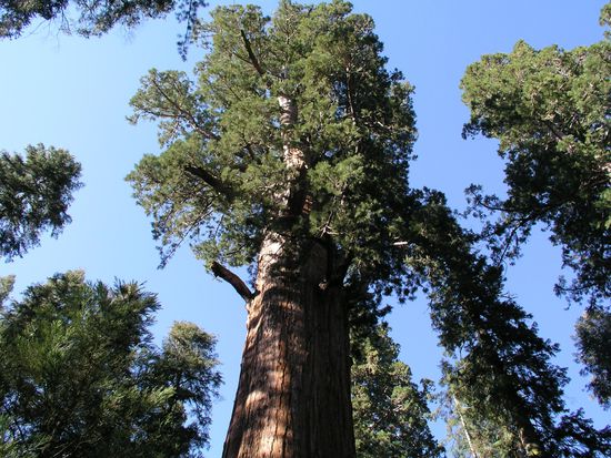 was haben diese Jungs schon alles erlebt - außer Touris