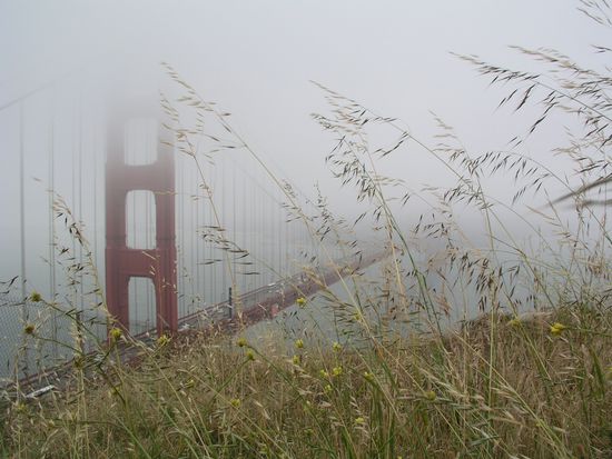 die Brücke von oben