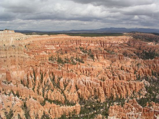 Nächstes Mal wandern wir durch dieses Labyrinth
