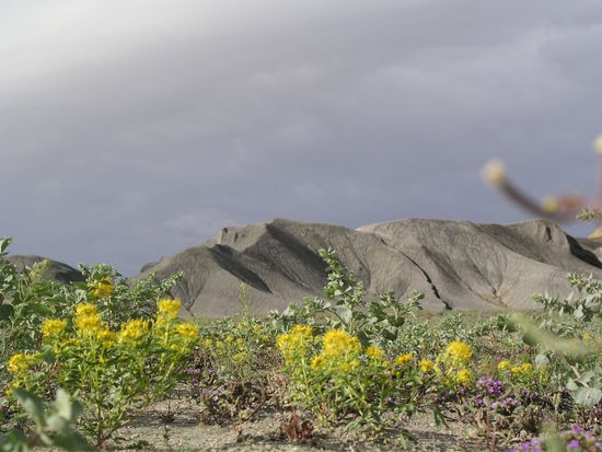 nicht auf dem Mond, nur auf der 24