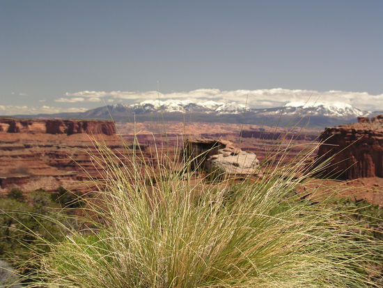 Canyonlands NP