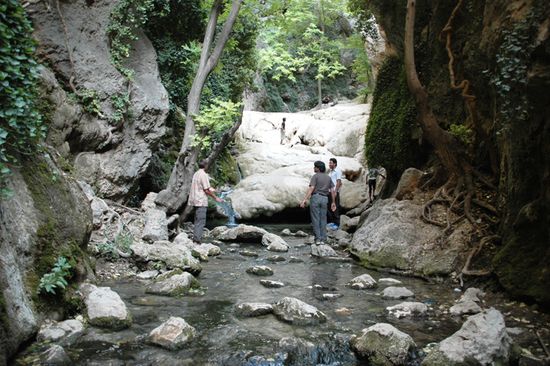 Da faehrt man eine Woche nur durch Wueste, auf einmal steht man in einem Dschungel mit viel Wasser.Auf der rechten Seite stehen die Shirazer, die dort Campten. Wir assen mit den zu Mittag. Danach zeigten sie uns den Dschungel.