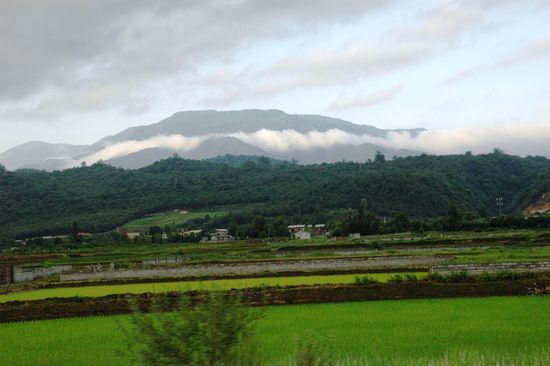Links von der Straße waren wunderschöne Landschaften wie hier zum Beispiel Reisfelder mit Wald und Bergen im Hintergrund.
