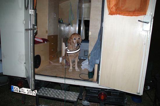 Ein neugieriger Besucher im Hano