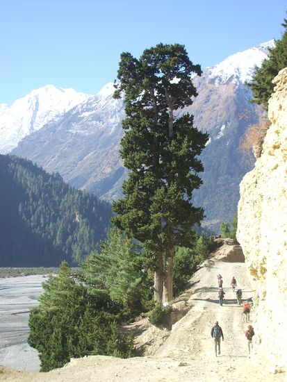 Irgendwie... ein "bayerisches" Bild 