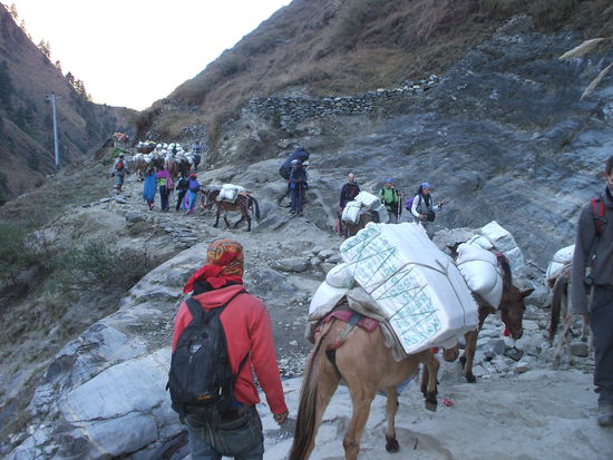 ...im Gänsemarsch...