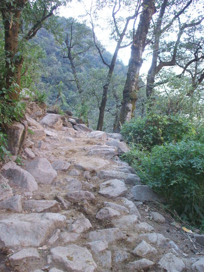 ...auf schönen Strecken...