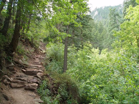 Sieht hübsch aus...