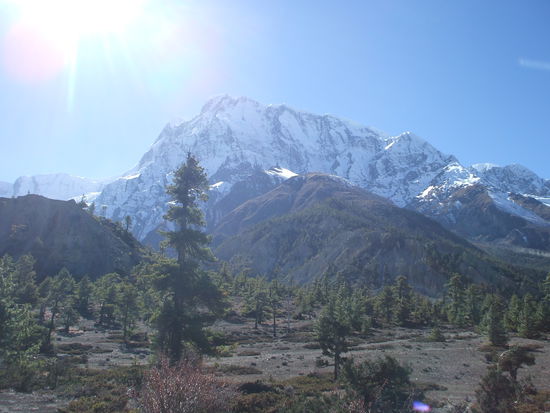 Auf dem Weg nach Manang