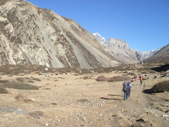 Auf nach Thorong Phedi