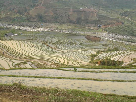 die Reisterassen in Sapa