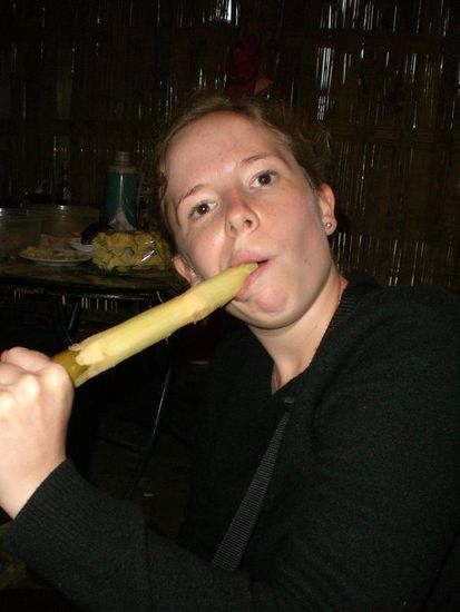 Trini am Zuckerrohr essen