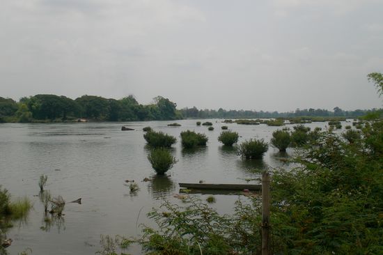 Hier sollen die Delphine springen...