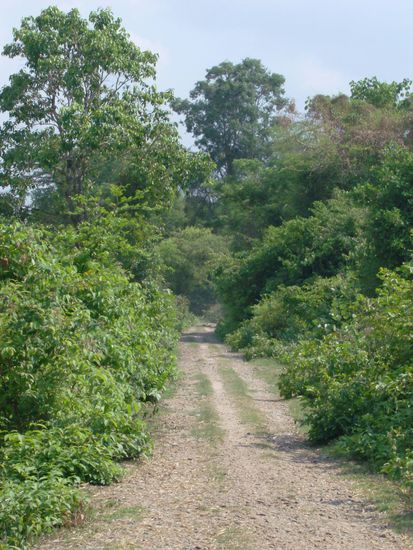 Die ehemalige Strecke der Bahn