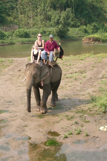 Man kann deutlich erkennen wie tief der Elefant im Wasser war.