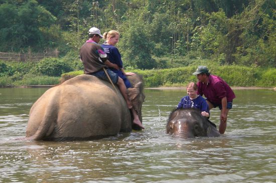 Trinis Elefant geht auf Tauchstation...