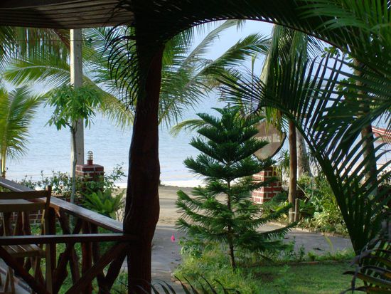 Rose Resort - Blick in Richtung Strand