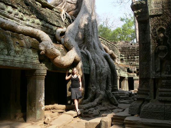 Ta Phrom (hier wurde Tomb Raider gedreht)