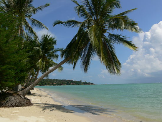 Next day: Sonne am Strand vor unserem Weekender Villa-Bungalow (bei Lamai).
Wir waren uebermuetig - und nach 2 Std verbrannt.