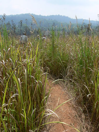 Sonne. Puh, heiss. Pulli schnell wieder aus.