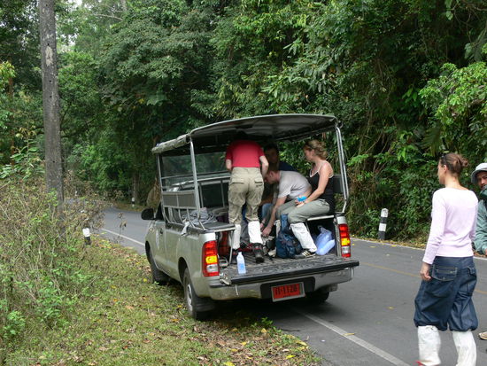 Gibbons beobachtet. Und wieder in den Wagen. Weiter fahren.
PS: Die weissen Stulpen-Struempfe mussten wir immer tragen, damit nichts in die Hose kriecht...