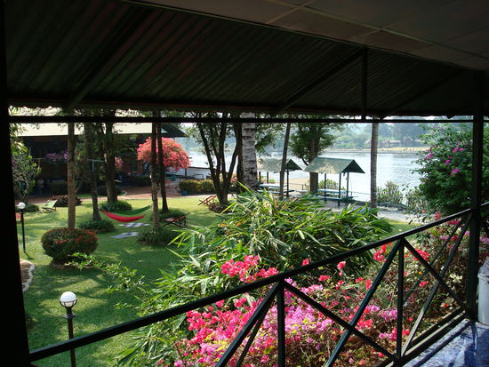 Unser Garten in Kanchanaburi schaut ja echt toll aus (Jolly Frog Guest House)...