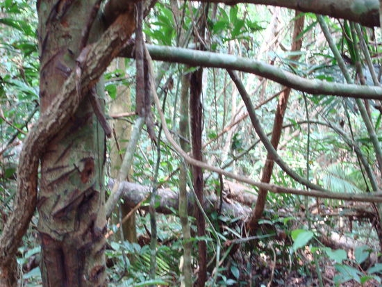 da haette mein Papa viel zu tun...